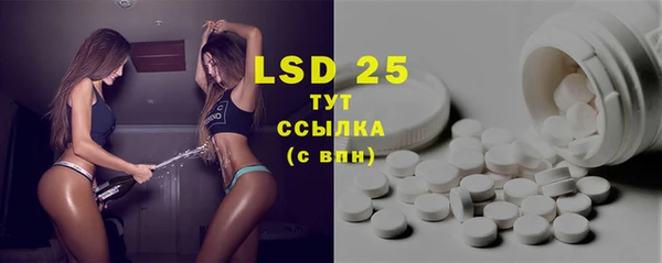 ECSTASY Горняк